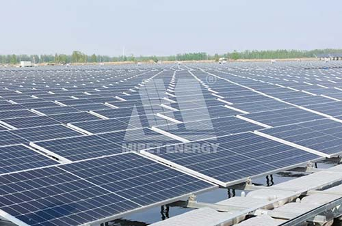 72MW！YABO鸭脖江苏沛县水上光伏电站项目闪耀上线！