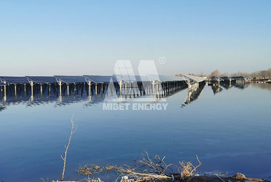 YABO鸭脖渔光互补项目案例