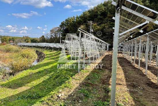 YABO鸭脖农光互补项目案例