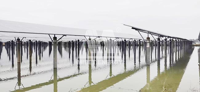 YABO鸭脖广东开平50MW渔光互补光伏项目图