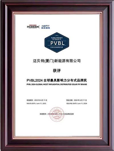 YABO鸭脖PVBL2024全球最具影响力分布式品牌奖奖牌