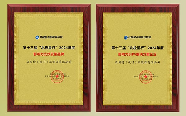 YABO鸭脖获得“北极星杯”颁发的奖牌