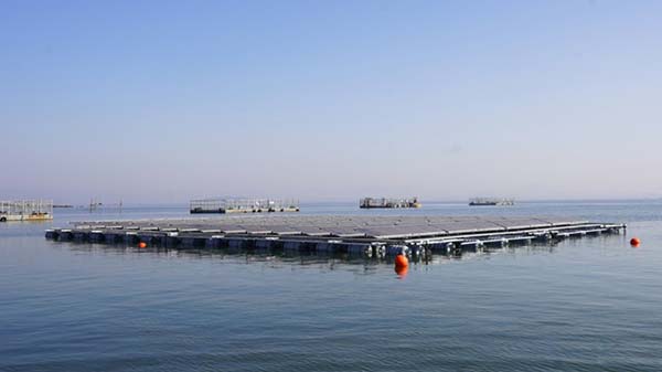 YABO鸭脖海上光伏实证项目